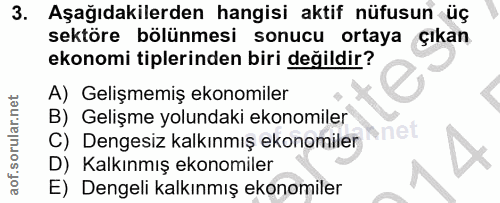 3. soru: Aşağıdakilerden hangisi aktif nüfusun üç sektöre bölünmesi sonucu ortaya çıkan ekonomi tiplerinden biri değildir? A)…