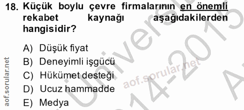 18. soru: Küçük boylu çevre firmalarının en önemli rekabet kaynağı aşağıdakilerden hangisidir? A) Düşük fiyat B) Deneyimli işgü…