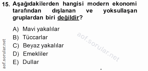 15. soru: Aşağıdakilerden hangisi modern ekonomi tarafından dışlanan ve yoksullaşan gruplardan biri değildir? A) Mavi yakalılar…