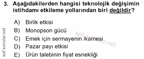 3. soru: Aşağıdakilerden hangisi teknolojik değişimin istihdamı etkileme yollarından biri değildir? A) Birlik etkisi B) Monops…