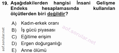 19. soru: Aşağıdakilerden hangisi İnsani Gelişme Endeks hesaplamasında kullanılan ölçütlerden biri değildir? A) Kadın-erkek ora…