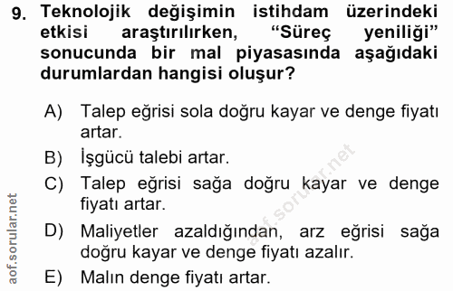 9. soru: Teknolojik değişimin istihdam üzerindeki etkisi araştırılırken, "Süreç yeniliği" sonucunda bir mal piyasasında aşağıd…