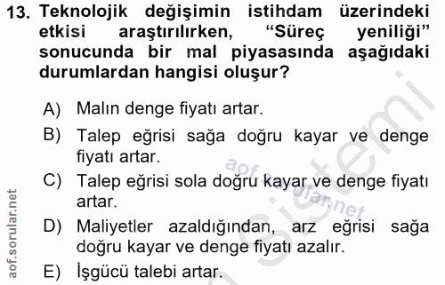 13. soru: Teknolojik değişimin istihdam üzerindeki etkisi araştırılırken, "Süreç yeniliği" sonucunda bir mal piyasasında aşağıd…