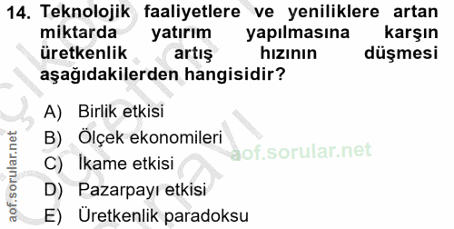 14. soru: Teknolojik faaliyetlere ve yeniliklere artan miktarda yatırım yapılmasına karşın üretkenlik artış hızının düşmesi aşa…