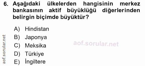 6. soru: Aşağıdaki ülkelerden hangisinin merkez bankasının aktif büyüklüğü diğerlerinden belirgin biçimde büyüktür? A) Hindist…