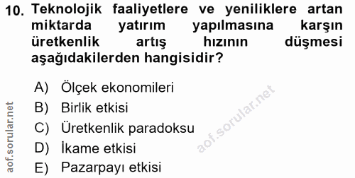 10. soru: Teknolojik faaliyetlere ve yeniliklere artan miktarda yatırım yapılmasına karşın üretkenlik artış hizının düşmesi aşa…