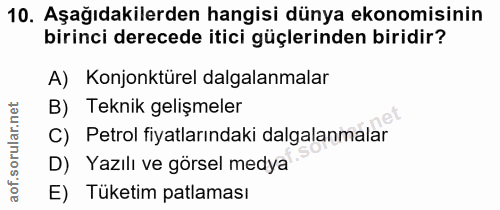 10. soru: Aşağıdakilerden hangisi dünya ekonomisinin birinci derecede itici güçlerinden biridir? A) Konjonkturel dalgalanmalar…