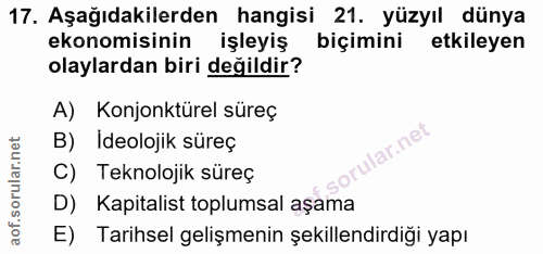 17. soru: Aşağıdakilerden hangisi 21. yüzyıl dünya ekonomisinin işleyiş biçimini etkileyen olaylardan biri değildir? A) Konjonk…