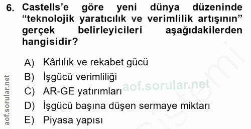 6. soru: Castells'e göre yeni dünya düzeninde "teknolojik yaratıcılık ve verimlilik artışının" gerçek belirleyicileri aşağıdak…