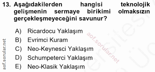 13. soru: Aşağıdakilerden hangisi teknolojik gelişmenin sermaye birikimi olmaksızın gerçekleşmeyeceğini savunur? A) Ricardocu Y…