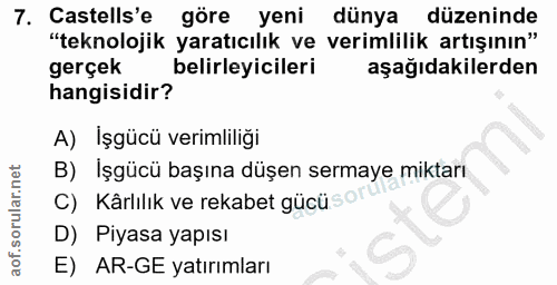 7. soru: Castells'e göre yeni dünya düzeninde "teknolojik yaratıcılık ve verimlilik artışının" gerçek belirleyicileri aşağıdak…