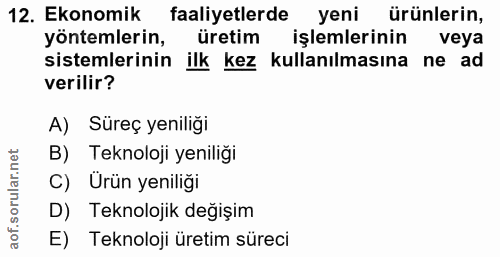 12. soru: Ekonomik faaliyetlerde yeni ürünlerin, yöntemlerin, üretim işlemlerinin veya sistemlerinin ilk kez kullanılmasına ne…