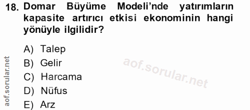 18. soru: Domar Büyüme Modeli'nde yatırımların kapasite artırıcı etkisi ekonominin hangi yönüyle ilgilidir? A) Talep B) Gelir C…