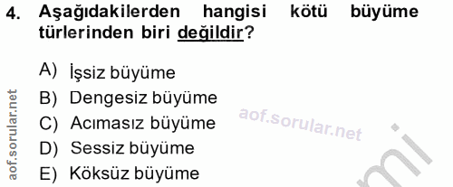 4. soru: Aşağıdakilerden hangisi kötü büyüme türlerinden biri değildir? A) İşsiz büyüme B) Dengesiz büyüme C) Acımasız büyüme…