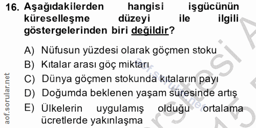 16. soru: Aşağıdakilerden hangisi işgücünün küreselleşme düzeyi ile ilgili göstergelerinden biri degildir? A) Nüfusun yüzdesi o…