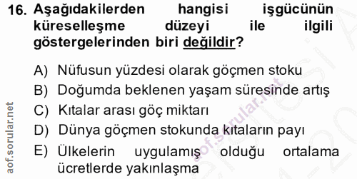 16. soru: Aşağıdakilerden hangisi işgücünün küreselleşme düzeyi ile ilgili göstergelerinden biri değildir? A) Nüfusun yüzdesi o…