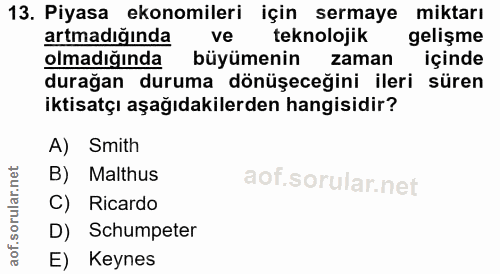 13. soru: Piyasa ekonomileri için sermaye miktarı artmadığında ve teknolojik gelişme olmadığında büyümenin zaman içinde durağan…