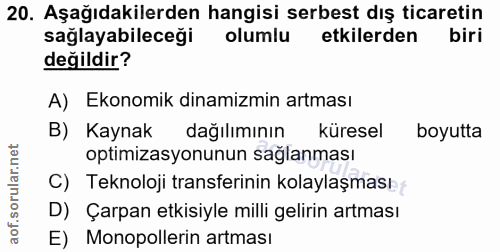 20. soru: Aşağıdakilerden hangisi serbest dış ticaretin sağlayabileceği olumlu etkilerden biri değildir? A) Ekonomik dinamizmin…