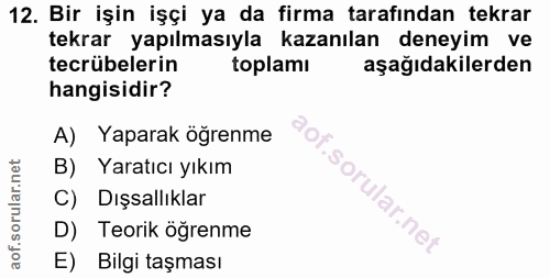 12. soru: Bir işin işçi ya da firma tarafından tekrar tekrar yapılmasıyla kazanılan deneyim ve tecrübelerin toplamı aşağıdakile…