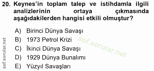 20. soru: Keynes'in toplam talep ve istihdamla ilgili analizlerinin ortaya çıkmasında aşağıdakilerden hangisi etkili olmuştur?…