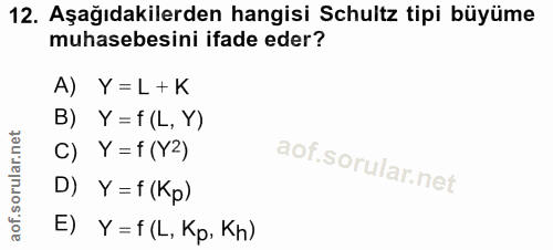 12. soru: Aşağıdakilerden hangisi Schultz tipi büyüme muhasebesini ifade eder? A) Y=L+K B) Y = f (L, Y) C) Y = f (Y2) D) Y = f…