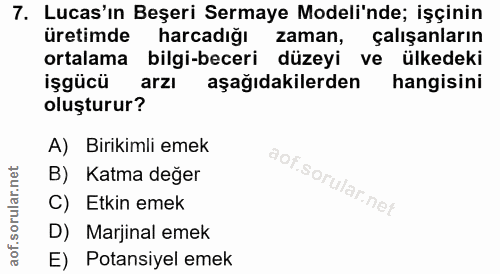7. soru: Lucas'ın Beşeri Sermaye Modeli'nde; işçinin üretimde harcadığı zaman, çalışanların ortalama bilgi-beceri düzeyi ve ül…