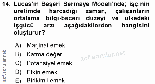 14. soru: Lucas'ın Beşeri Sermaye Modeli'nde; işçinin üretimde harcadığı zaman, çalışanların ortalama bilgi-beceri düzeyi ve ül…