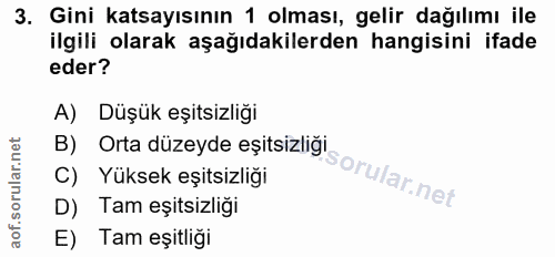 3. soru: Gini katsayısının 1 olması, gelir dağılımı ile ilgili olarak aşağıdakilerden hangisini ifade eder? A) Düşük eşitsizlı…
