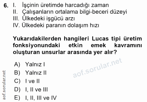 6. soru: I. işçinin üretimde harcadığı zaman II. Çalışanların ortalama bilgi-beceri düzeyi III. Ulkedeki işgücü arzı IV. Ülked…