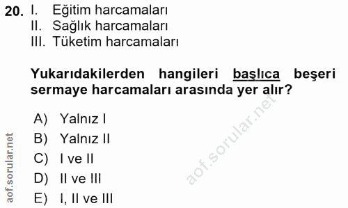 20. soru: 1. Eğitim harcamaları II. Sağlık harcamaları Ill. Tüketim harcamaları Yukarıdakilerden hangileri başlıca beşeri serma…