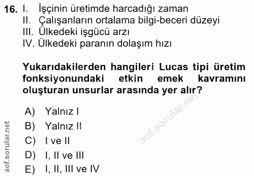 16. soru: 1. işçinin üretimde harcadığı zaman II. Çalışanların ortalama bilgi-beceri düzeyi III. Ulkedeki işgücü arzı IV. Ulked…