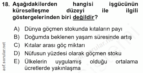 18. soru: Aşağıdakilerden hangisi işgücünün küreselleşme düzeyi ile ilgili göstergelerinden biri değildir? A) Dünya göçmen stok…