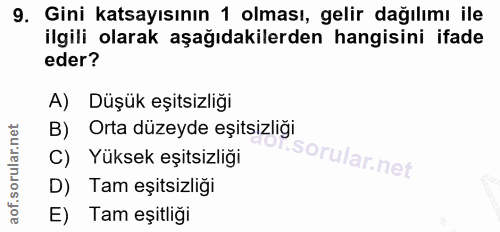 9. soru: Gini katsayısının 1 olması, gelir dağılımı ile ilgili olarak aşağıdakilerden hangisini ifade eder? A) Düşük eşitsizli…