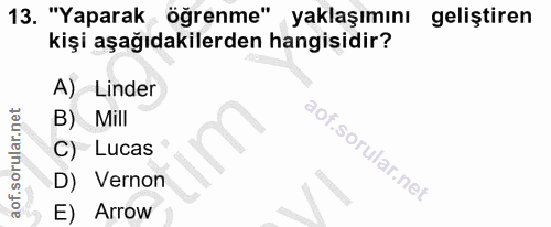 13. soru: "Yaparak öğrenme" yaklaşımını geliştiren kişi aşağıdakilerden hangisidir? A) Linder B) Mill C) Lucas D) Vernon E) Arrow