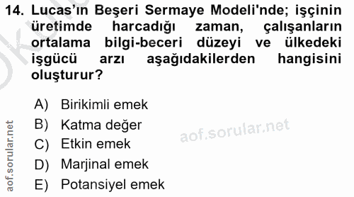 14. soru: Lucas'ın Beşeri Sermaye Modeli'nde; işçinin üretimde harcadığı zaman, çalışanların ortalama bilgi-beceri düzeyi ve ül…