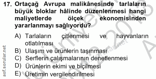 17. soru: Ortaçağ Avrupa malikânesinde tarlaların büyük bloklar hâlinde düzenlenmesi hangi maliyetlerde ölçek ekonomisinden yar…