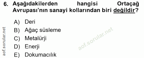 6. soru: Aşağıdakilerden hangisi Ortaçağ Avrupası'nın sanayi kollarından biri değildir? A) Deri B) Ağaç süsleme C) Metalürji D…