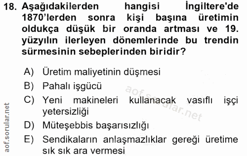 18. soru: Aşağıdakilerden hangisi Ingiltere'de 1870 lerden sonra kişi başına üretimin oldukça düşük bir oranda artması ve 19. y…