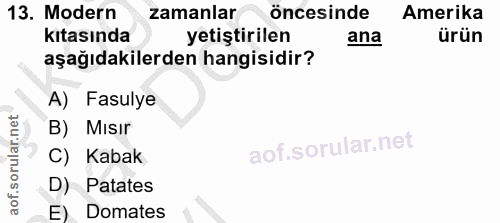 13. soru: Modern zamanlar öncesinde Amerika kıtasında yetiştirilen ana ürün aşağıdakilerden hangisidir? A) Fasulye B) Mısır C)…