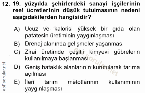 12. soru: 19. yüzyılda şehirlerdeki sanayi işçilerinin reel ücretlerinin düşük tutulmasının nedeni aşağıdakilerden hangisidir?…