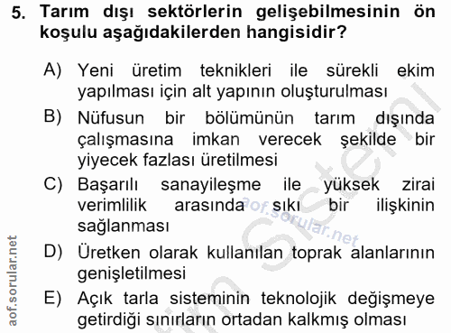 5. soru: Tarım dışı sektörlerin gelişebilmesinin ön koşulu aşağıdakilerden hangisidir? A) Yeni üretim teknikleri ile sürekli e…