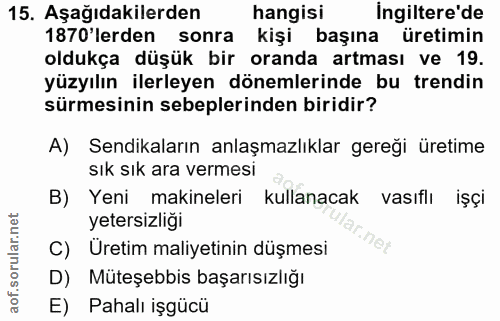 15. soru: Aşağıdakilerden hangisi ingiltere'de 1870'lerden sonra kişi başına üretimin oldukça düşük bir oranda artması ve 19. y…