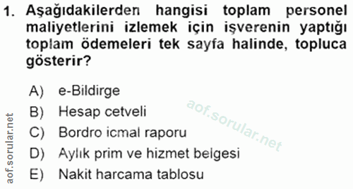 1. soru: Aşağıdakilerden hangisi toplam personel maliyetlerini izlemek için işverenin yaptığı toplam ödemeleri tek sayfa halin…