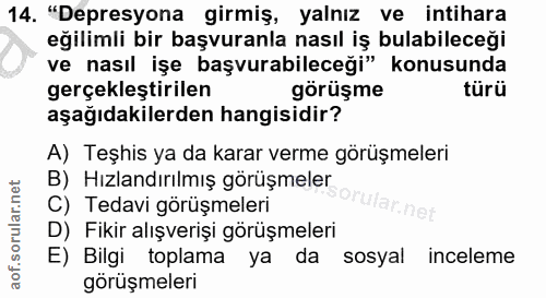 14. soru: "Depresyona girmiş, yalnız ve intihara eğilimli bir başvuranla nasıl iş bulabileceği ve nasıl işe başvurabileceği" ko…