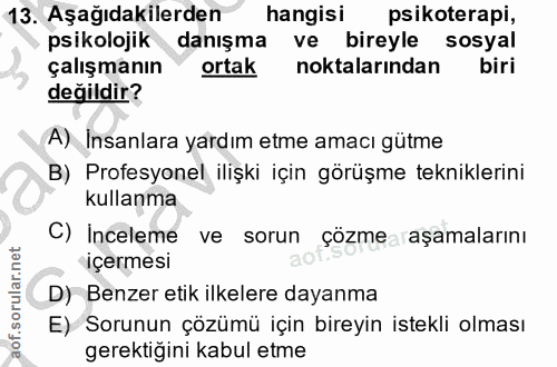 13. soru: Aşağıdakilerden hangisi psikoterapi, psikolojik danışma ve bireyle sosyal çalışmanın ortak noktalarından biri değildi…