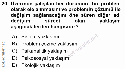 20. soru: Üzerinde çalışılan her durumun bir problem olarak ele alınmasını ve problemin çözümü ile değişim sağlanacağını öne sü…