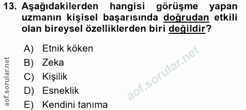 13. soru: Aşağıdakilerden hangisi görüşme yapan uzmanın kişisel başarısında doğrudan etkili olan bireysel özelliklerden biri de…