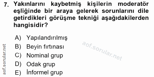 7. soru: Yakınlarını kaybetmiş kişilerin moderatör eşliğinde bir araya gelerek sorunlarını dile getirdikleri görüşme tekniği a…