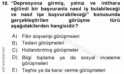 10. soru: "Depresyona girmiş, yalnız ve intihara eğilimli bir başvuranla nasıl iş bulabileceği ve nasıl işe başvurabileceği" ko…