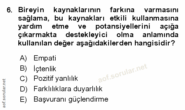 6. soru: Bireyin kaynaklarının farkına varmasını sağlama, bu kaynakları etkili kullanmasına yardım etme ve potansiyellerini aç…